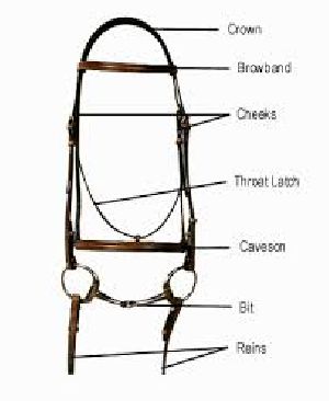 English Horse Bridle 19