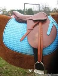 English Polo Saddles