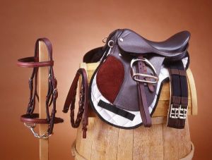 Bridle english saddle