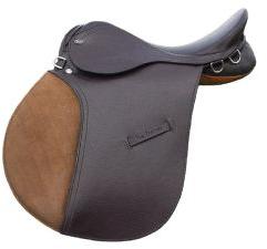 Training english saddle