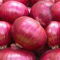 Red Onion