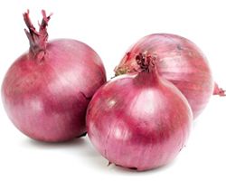 Fresh Onion