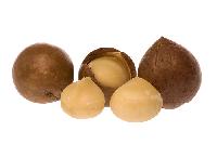 Macadamia Nut