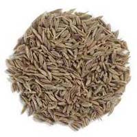 Cumin Seeds