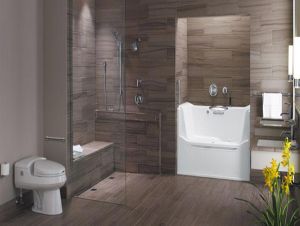 Washroom Interior Designing