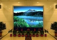 indoor led display