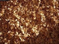 Wood Pulp