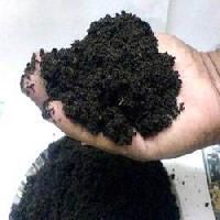 Vermicompost Fertilizer