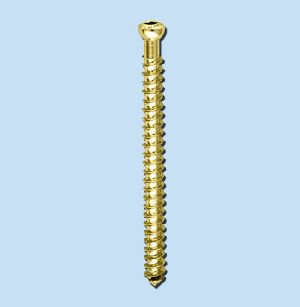 Cancellous Screws