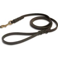 Dog Leashes