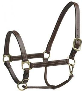 Horse Halter