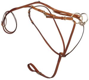 horse martingale