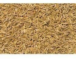 Cumin Seed