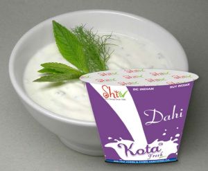 Kota Fresh Dahi