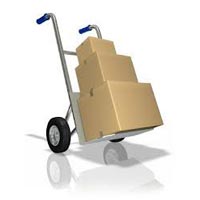 International Courier Services