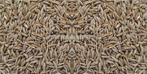 Cumin Seeds