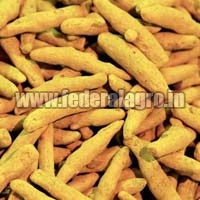 Turmeric Finger