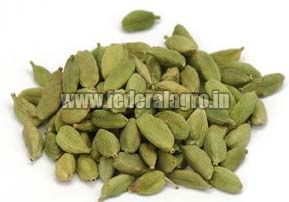 Green Cardamom