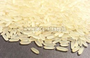 IR36 Rice