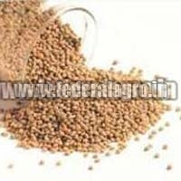 Millet Seeds