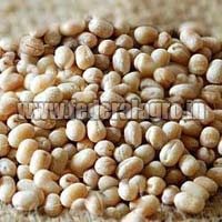 Whole Urad Dal