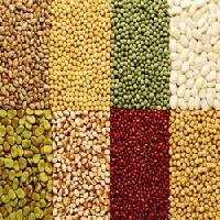 Organic Pulses