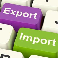import export code services