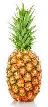 Fresh Pineapple