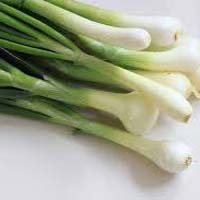 Fresh Green Onion