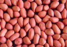 Groundnuts