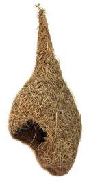 Original weaver bird nest (swing)