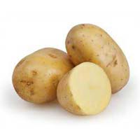 Fresh Potato