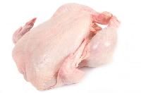 Frozen Chicken Meat