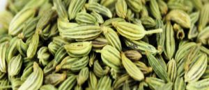 Fennel Seeds