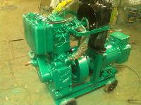 Water Cooled Diesel Generators