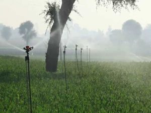 Micro Sprinkler System