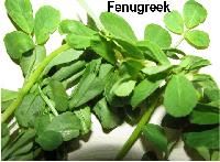 Fenugreek Leaf