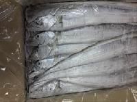 Frozen Ribbon Fish