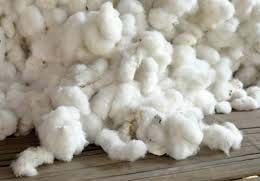 Raw Cotton