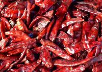 Dry Red Chilli Pepper