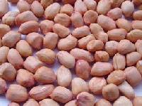 Indian Peanuts