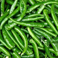 Fresh Green Chilli