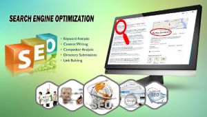 SEO & SMO Implementation