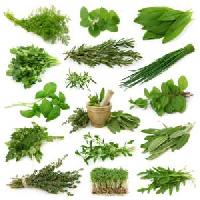 Ayurvedic Herbs