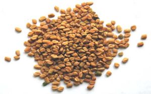 Fenugreek Powder