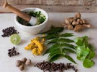 medicinal herbal plants