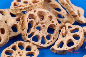 Lotus Root