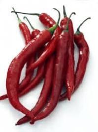 Chili Pepper