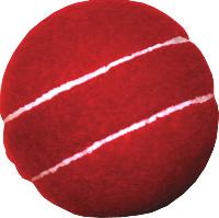 Cricket Tennis Ball