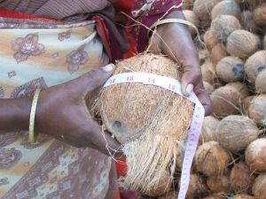 Coconut Products